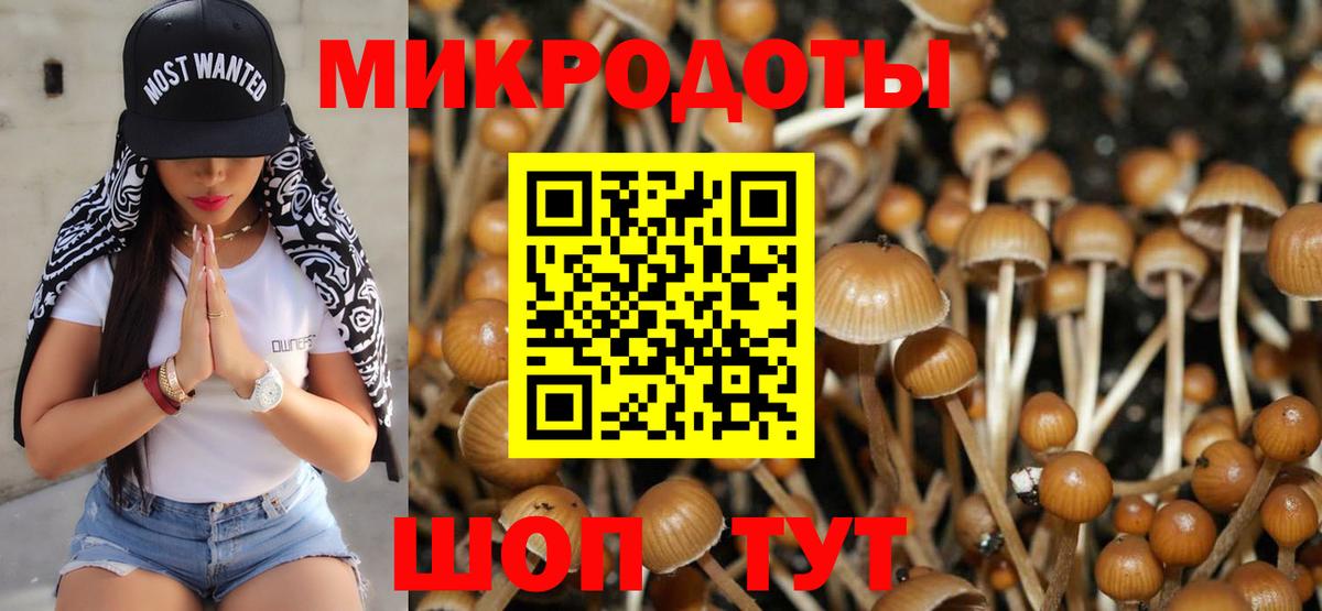 Псилоцибиновые грибы Cubensis Петропавловск-Камчатский